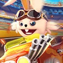 ANIMAL RACING